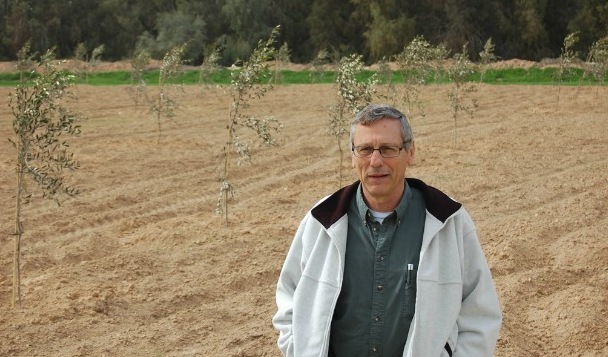 Picture 5 of Israel's advanced irrigation method has turned arid desert into a place to grow vegetables and fish