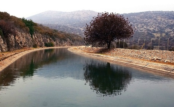 Picture 9 of Israel's advanced irrigation method has turned arid desert into a place to grow vegetables and fish