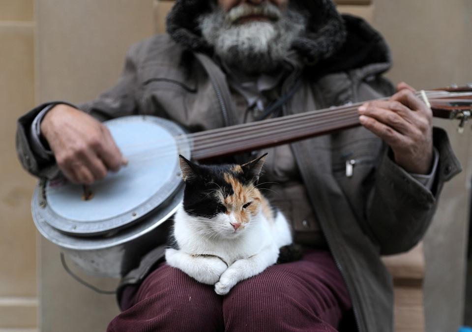 Picture 7 of Istanbul: The city of cats divided the banks of Europe - Asia