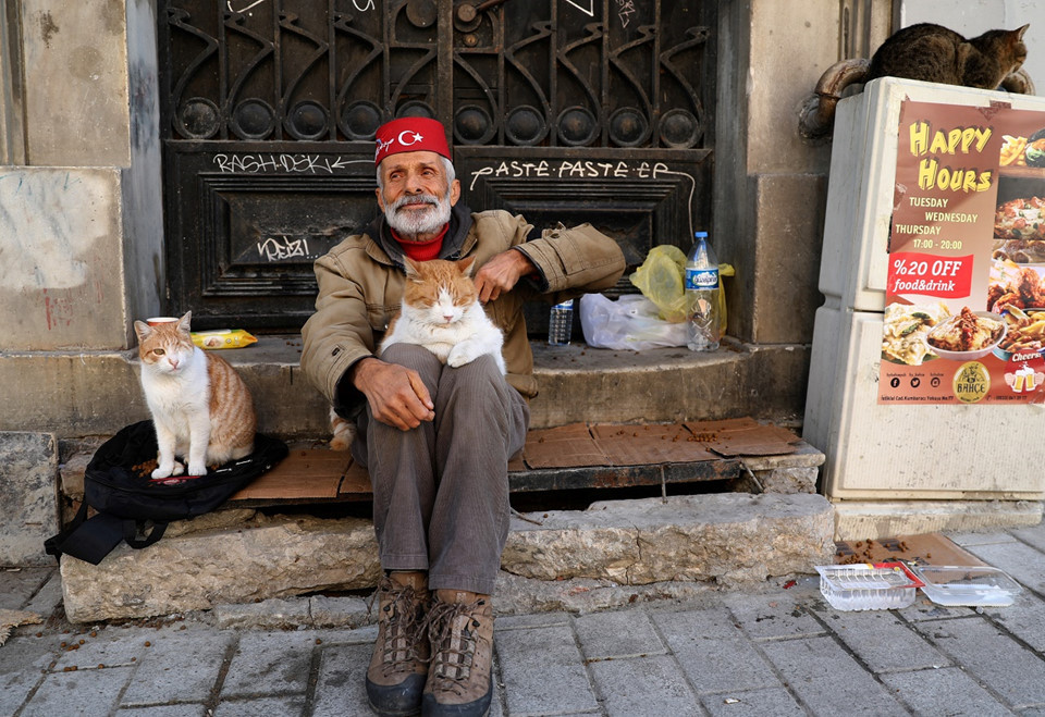 Picture 8 of Istanbul: The city of cats divided the banks of Europe - Asia