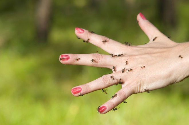 Picture 2 of It feels like a person who is infested with insects: strange disease makes many people miserable