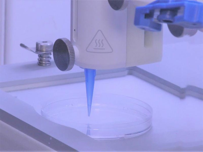 Picture 1 of It is possible to create skin layers including blood vessels using 3D biological printers