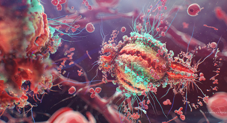 Picture 1 of It is possible to detect HIV-infected T cells that are