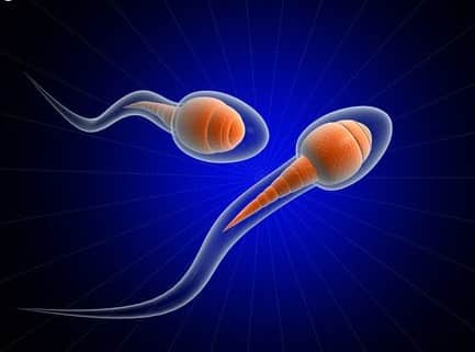 Picture 2 of It is possible to give birth without a mother's egg