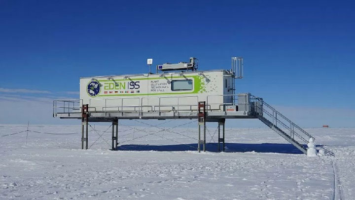 Picture 9 of It is possible to grow vegetables in Antarctica without soil and sunlight