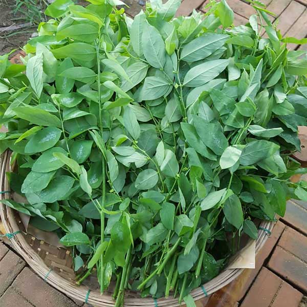 Picture 1 of It is taboo when eating vegetables but many people still do not know
