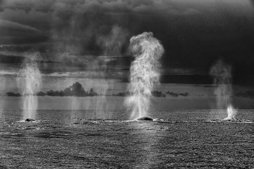 Picture 6 of It takes 25 years for you to admire these beautiful images