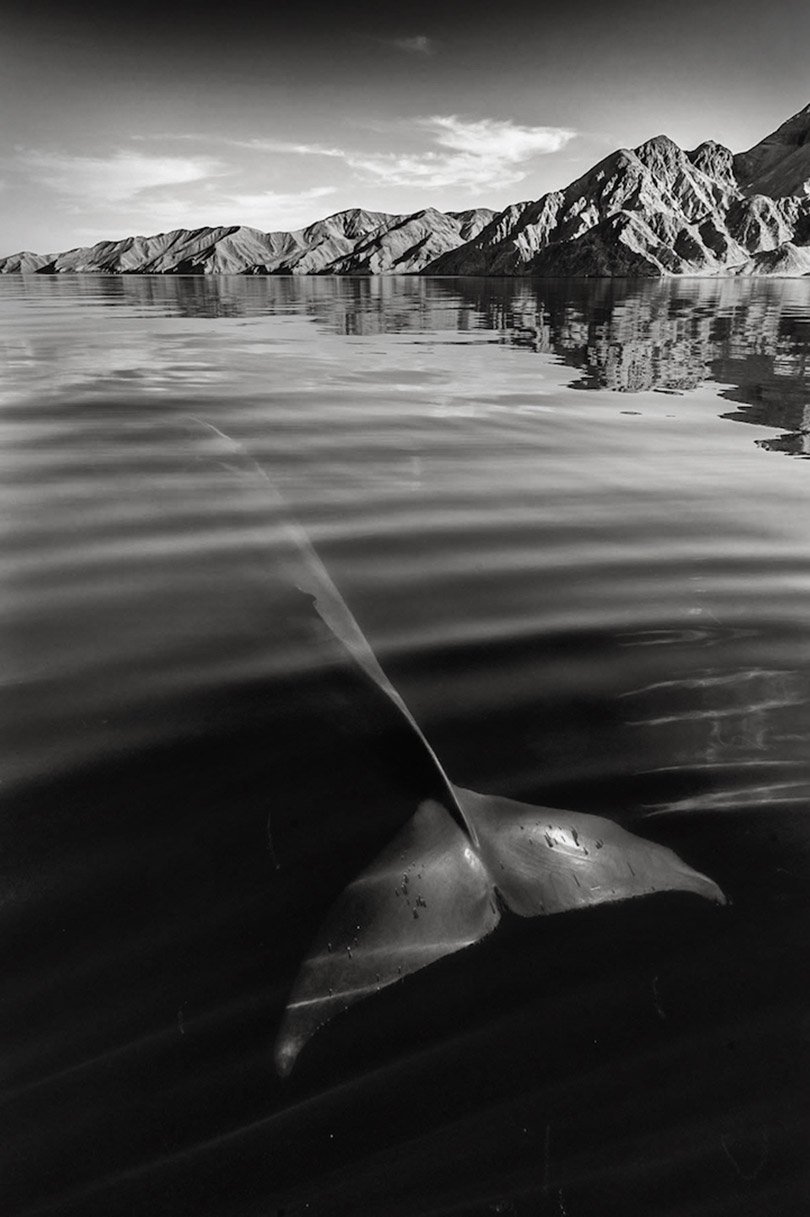 Picture 7 of It takes 25 years for you to admire these beautiful images