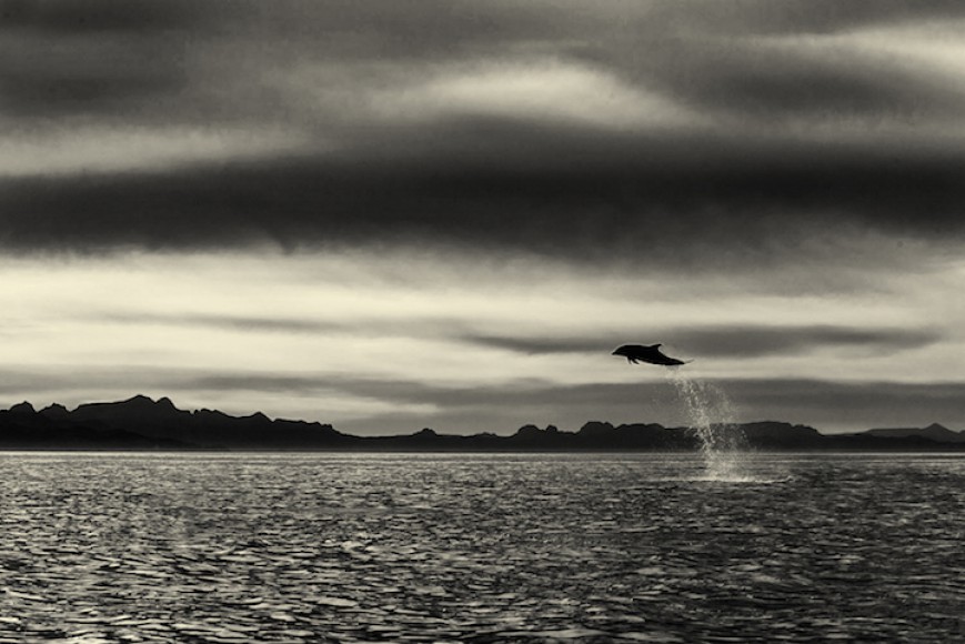 Picture 8 of It takes 25 years for you to admire these beautiful images