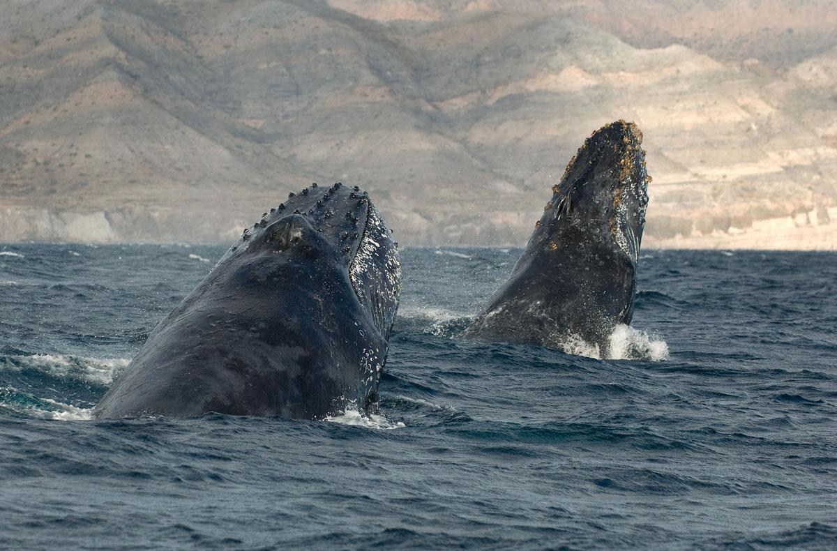 Picture 9 of It takes 25 years for you to admire these beautiful images