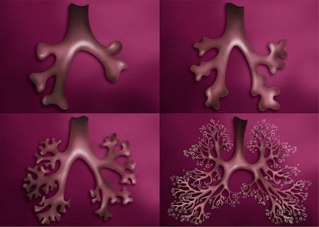 Picture 2 of It took 25 years for the brain to develop completely