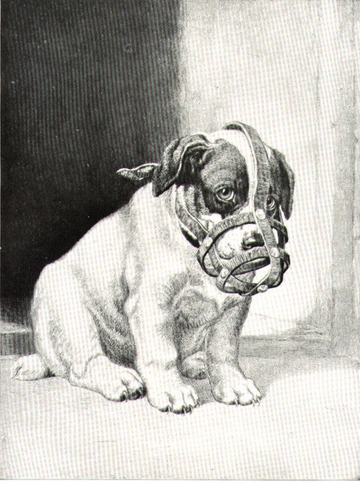 Picture 4 of It turned out that the law of catching puppy puppets when going to the street has appeared since ancient times