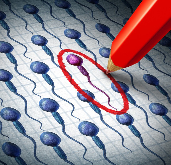 Picture 4 of It turns out that it is the egg that determines which sperm to choose to conceive