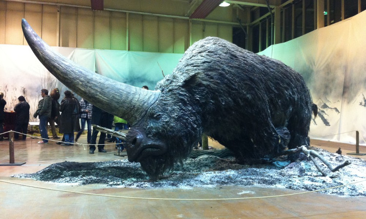 Picture 4 of It turns out that the unicorn in the legend is real but it is terrible