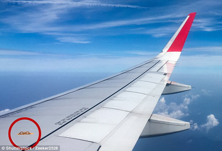 Picture 1 of Items that can save passengers' lives