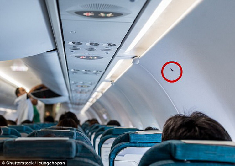 Picture 4 of Items that can save passengers' lives