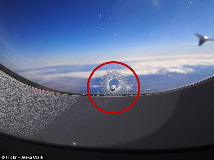 Picture 6 of Items that can save passengers' lives