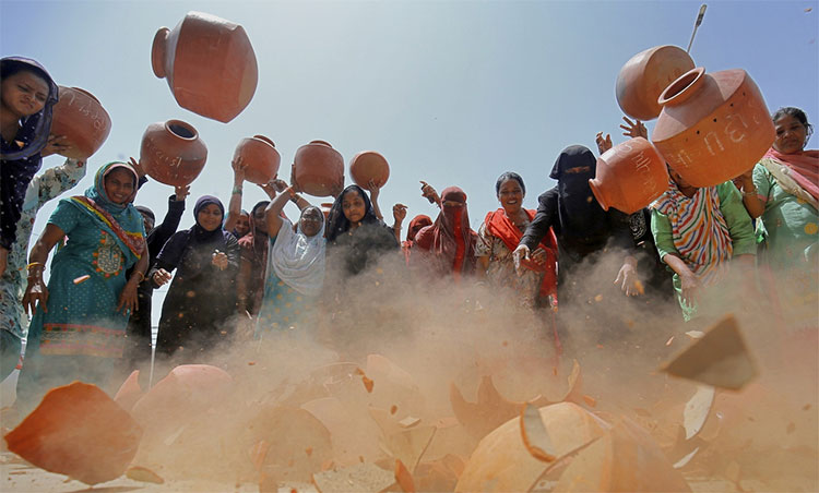 Picture 1 of It's so hot that animals are 'crazy' in India