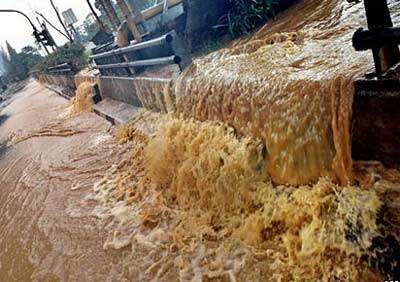 Picture 2 of Jakarta is worried about the plague because of the flood