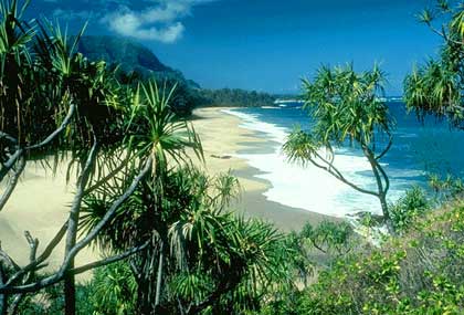 Picture 2 of Jamaica Island