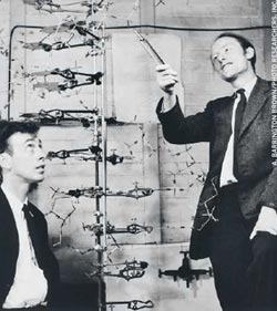 Picture 2 of James Watson is a leading scientist