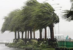 Picture 1 of Japan canceled 128 flights due to storms