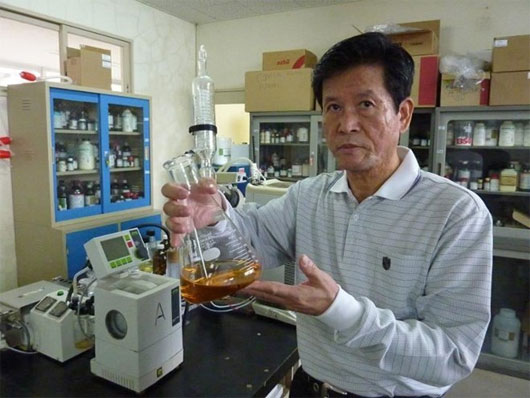 Picture 1 of Japan found plants that help increase people's longevity