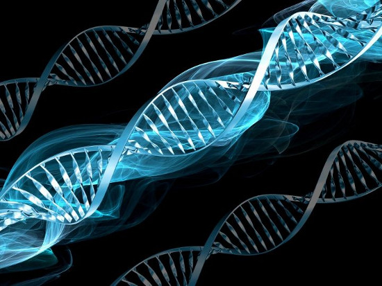 Japan is confident about the future of regenerative medicine images 1