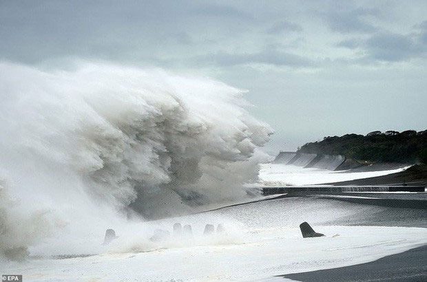 Picture 4 of Japan: The country suffers from many natural disasters and the way to protect people makes the whole world admired