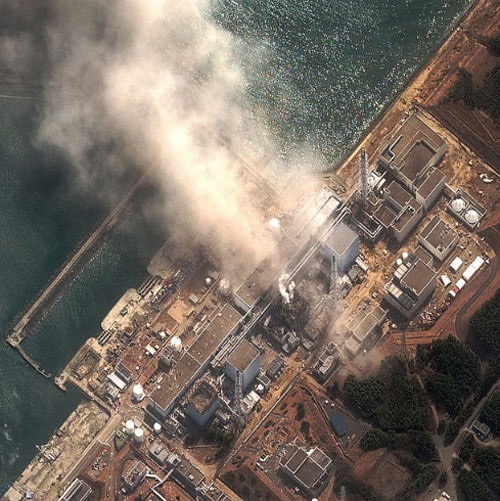 Picture 2 of Japan will bury contaminated soil in some forests