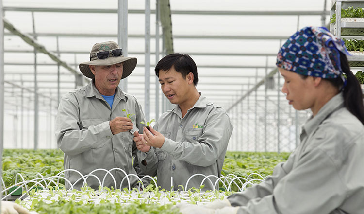 Picture 1 of Japanese experts show how to raise income for Vietnamese farmers