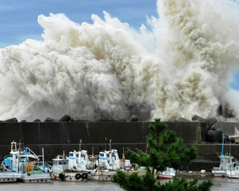 Picture 1 of Japanese power plant is safe in super typhoon