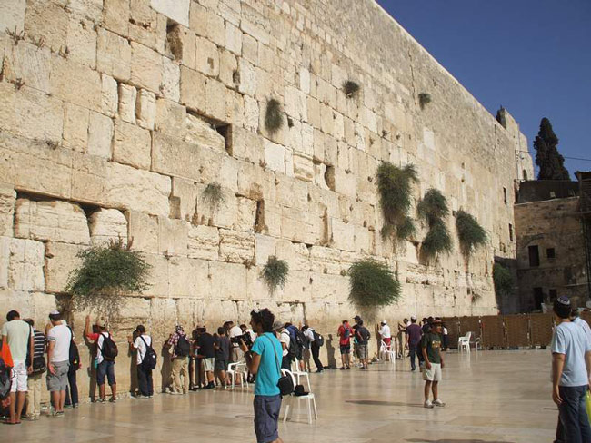 Picture 5 of Jerusalem Citadel - Jerusalem