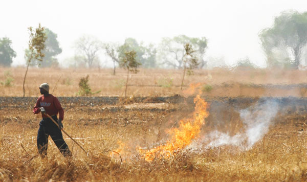 Picture 1 of JICA supports the reduction of greenhouse gas emissions