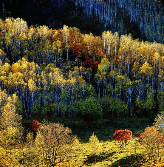 Picture 11 of Jiuzhaigou Nature Reserve - China's natural heritage
