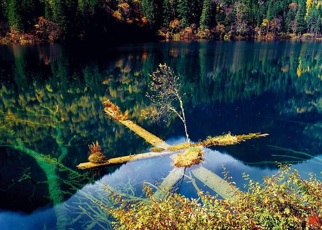 Picture 2 of Jiuzhaigou Nature Reserve - China's natural heritage