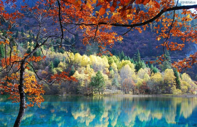 Picture 3 of Jiuzhaigou Nature Reserve - China's natural heritage