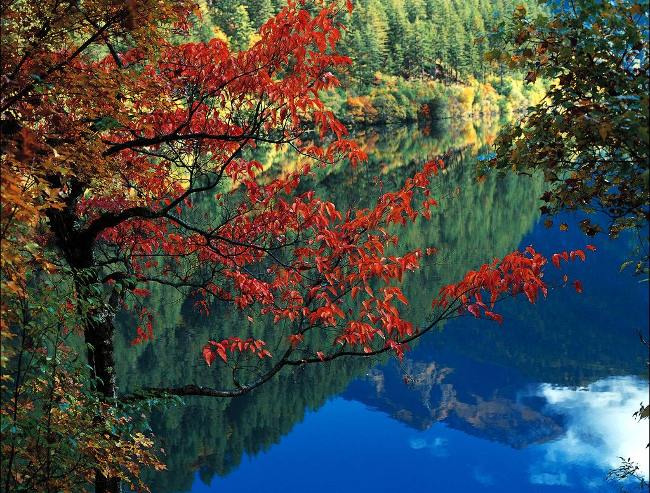 Picture 4 of Jiuzhaigou Nature Reserve - China's natural heritage