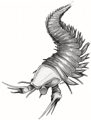 Picture 2 of Johnny Depp is named for the extinct creature