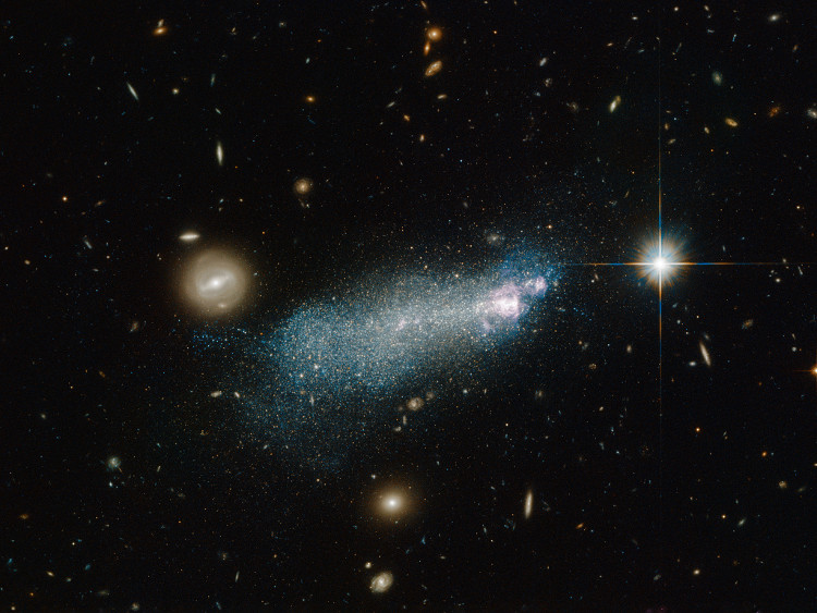 Picture 6 of Journey to search for 'invisible' galaxies in the universe