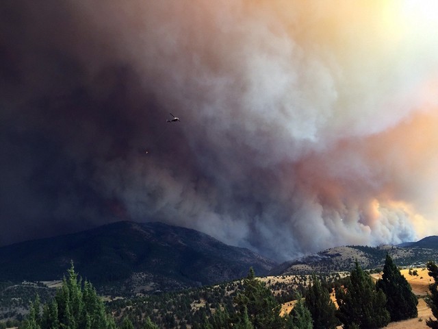 Picture 3 of July 2015 is the hottest month in 200 years