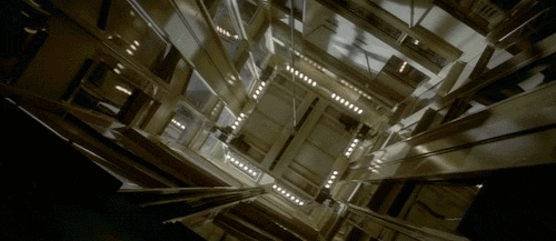Picture 2 of Jump up when the elevator lifts will survive?
