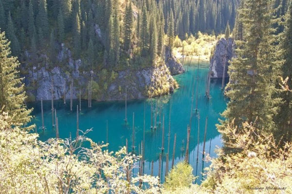 Picture 1 of Kaindy is the most exotic lake in the world