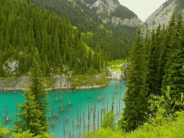 Picture 3 of Kaindy is the most exotic lake in the world