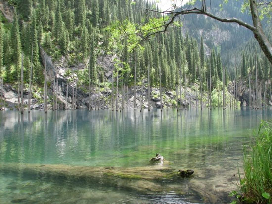 Picture 4 of Kaindy is the most exotic lake in the world