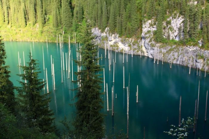 Picture 6 of Kaindy is the most exotic lake in the world