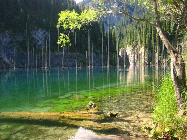 Picture 7 of Kaindy is the most exotic lake in the world