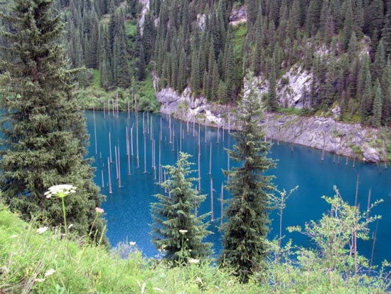 Picture 9 of Kaindy is the most exotic lake in the world