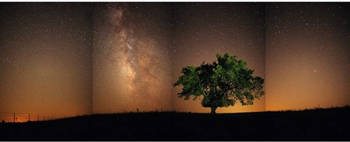 Picture 13 of Kansas four-season grassland