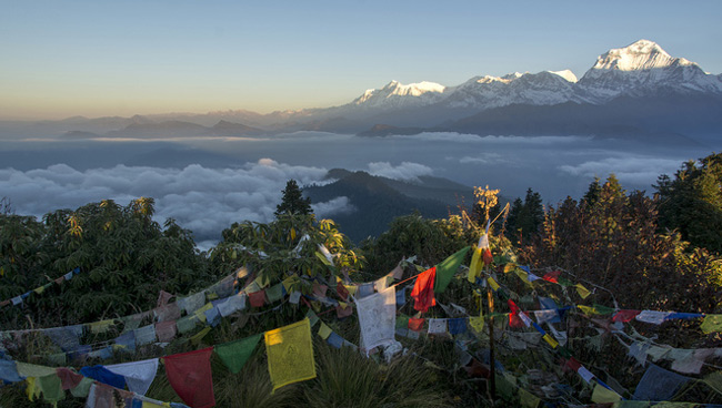 Picture 8 of Kathmandu Valley - Nepal